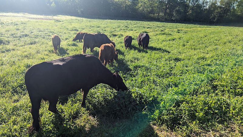 PXL 20240328 133821581.MP 1